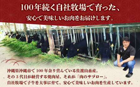 沖縄 牛肉 佐渡山牛 500g【厳選部位】焼肉用 冷凍 沖縄県産 牛肉 BCBC003