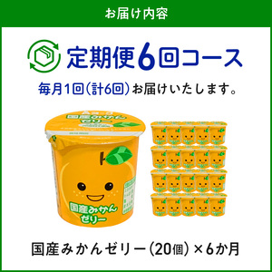 【6ヶ月定期便】愛知ヨーク　国産みかんゼリー　20個入［108A04-T］