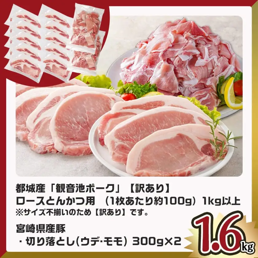 観音池ポークロースとんかつ用【訳あり】&宮崎県産豚切り落とし1.6kgセット〔AA-9234〕_(都城市) 観音池ポーク ロース とんかつ用 不揃い 訳あり 国産豚肉 ウデ・モモ 切落とし