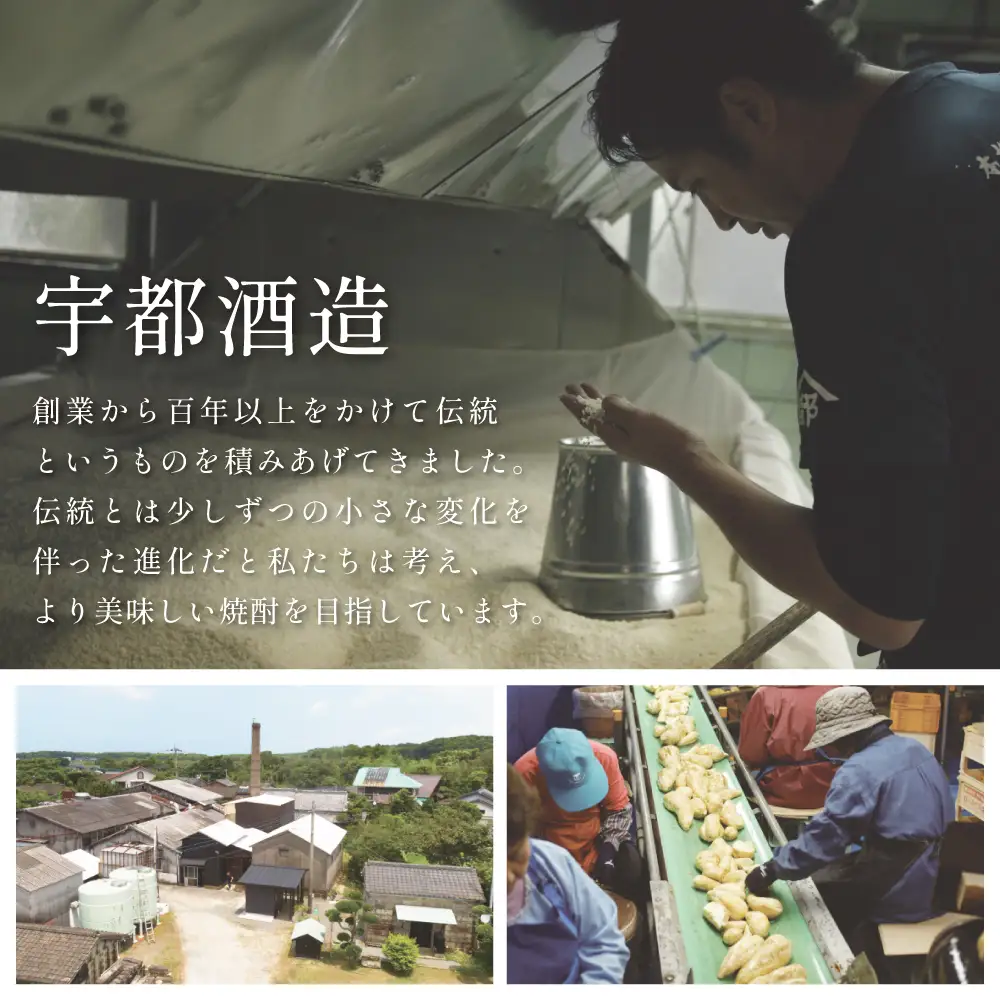 本格芋焼酎 「OPNIK」500ml 33% 1本 いも焼酎 芋焼酎 お酒 鹿児島 ロック ハイボール 内祝い 贈答用 ギフト 南さつま市