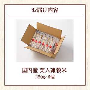 国内産 美人雑穀米 250g×6個 計1500g_雑穀米 国内産 250g × 6個 1回 美人雑穀米 雑穀 12種 ブレンド 混ぜて炊くだけ 冷めても美味しい 胚芽押麦 もち玄米 発芽 玄米 もち黒米 ハト麦 もち麦 もちきび 黒大豆 もちあわ 簡単 主食 おにぎり 弁当 ふっくら もちもち 〔Gr009〕
