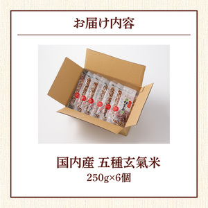 国内産 五種玄氣米 250g×6個 計1500g_国内産 五種玄氣米 250g×6個 お届け回数 1回 玄米 ブレンド 雑穀米 もち赤米 うるち玄米 もち玄米 もち黒米 もち緑米 プチプチ もちもち 混ぜて炊くだけ 冷めても美味しい 主食 おにぎり 弁当 食卓 華やか 福岡県 久留米市 送料無料 〔Gr010〕