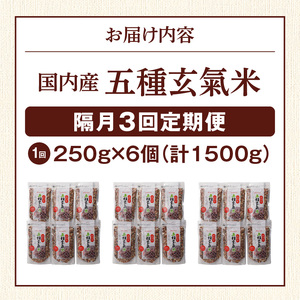 【隔月3回　定期便】国内産 五種玄氣米 250g×6個 1500g×3回_国内産 五種玄氣米 250g×6個 お届け回数 3回 玄米 ブレンド 雑穀米 もち赤米 うるち玄米 もち玄米 もち黒米 もち緑米 プチプチ もちもち 混ぜて炊くだけ 冷めても美味しい 主食 おにぎり 弁当 食卓 華やか 福岡県 久留米市 送料無料 〔Tk025〕