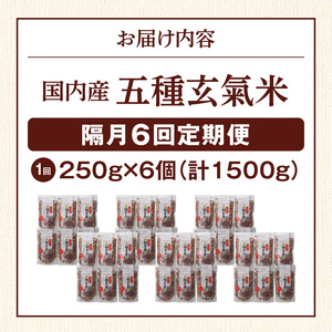 【隔月6回　定期便】国内産 五種玄氣米 250g×6個 1500g×6回_国内産 五種玄氣米 250g×6個 お届け回数 6回 玄米 ブレンド 雑穀米 もち赤米 うるち玄米 もち玄米 もち黒米 もち緑米 プチプチ もちもち 混ぜて炊くだけ 冷めても美味しい 主食 おにぎり 弁当 食卓 華やか 福岡県 久留米市 送料無料 〔Tk026〕