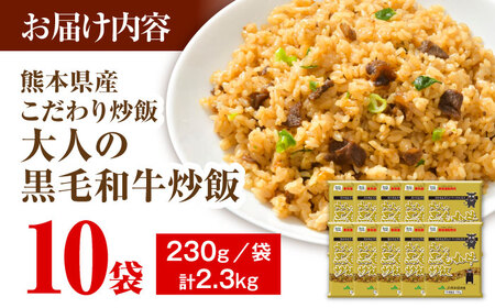 大人の黒毛和牛炒飯 計2.3kg (230g×10) チャーハン チャーハン BHCS003