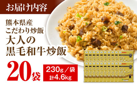 熊本県産 こだわり炒飯 大人の黒毛和牛 炒飯 230g×20袋 合計4.6kg  仕送り 仕送りBHCS004