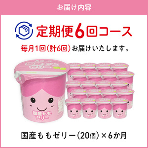 【6ヶ月定期便】愛知ヨーク　国産ももゼリー　20個入［108A14-T］