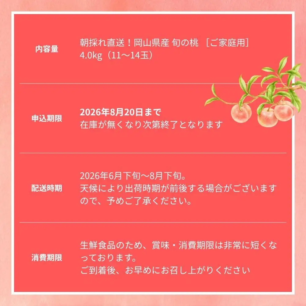 ＜数量限定＞［なんばふぁーむ］岡山県産 旬の桃 4.0kg（11～14玉）［ご家庭用］【2026年発送】