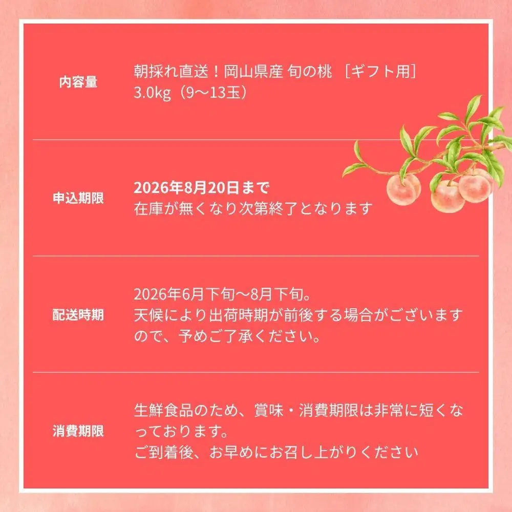 ＜数量限定＞［なんばふぁーむ］岡山県産 旬の桃 3.0kg（9～13玉）[ギフト用]【2026年発送】 039-a005