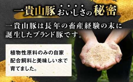 一貴山豚 ヴァイスブルスト 20本(5本×4パック) 糸島市 / いきさん牧場 豚肉 ソーセージ [AGB067]