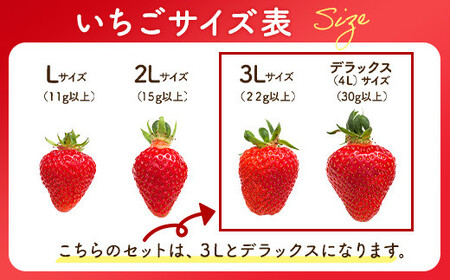 とちおとめ 320g×2パック 3Lサイズ ｜ いちご 苺 イチゴ 贈答 フルーツ 果物 国産 平積み ※2027年1月～発送