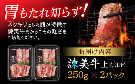 【お中元対応可】【特Aのブランド米で育てた】諫美牛 上カルビ 500g(250g×2) / 牛肉 ぎゅうにく 和牛 肉 焼肉 やきにく 国産 カルビ かるび / 諫早市 / 株式会社土井農場 [AHAD101]