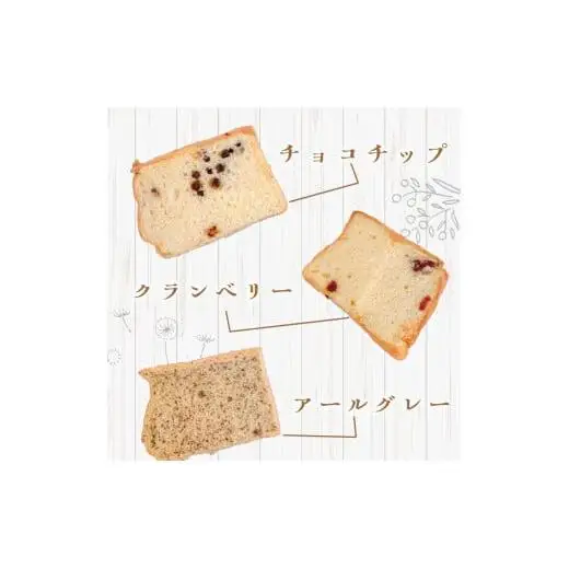 シフォンケーキ プレーン 6個セット CFS001-2x