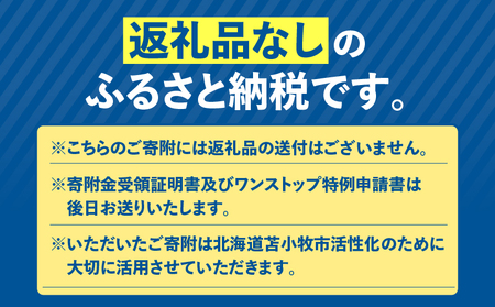 北海道 苫小牧市 応援寄附金 （ 返礼品なし ） 10,000円 T000-001-03 応援 返礼品無