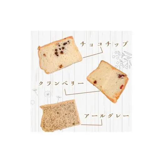 シフォンケーキ クランベリー 12個セット CFS008-2x