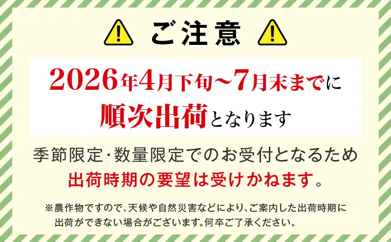 宮崎県産 太陽のタマゴ 3L×2玉_b0958_ww
