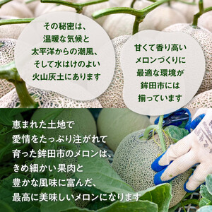 メロンの森　アールスメロン（マスクメロン）1個入り（約1.5kg～2kg）