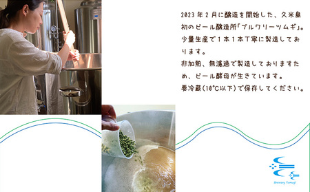 ビール 久米島の恵みをたっぷり使用「久米島産ビール 豊かな飲みごたえの3本セット」 クラフトビール