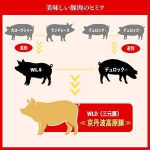 国産豚肉 小間切れ 3kg 京丹波高原豚 ブランド豚 ブランド豚肉 豚肉 三元豚 豚 お肉 肉 国産 国産肉 豚小間 小間切れ肉 京都 京都府 南丹市
