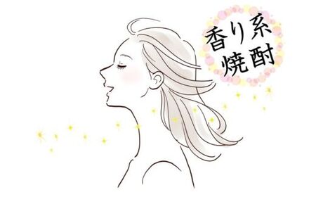No.3086　Bliss-Time(ブリス-タイム) 化粧箱入り　６本入り（500ml）