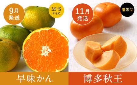 【福岡県産 特産品 年6回定期便】うまもぐ厳選 野菜果物セット 定期便 野菜 果物 詰め合わせ