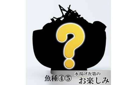 【6ヶ月 定期便】魚かつ自家製　山口の海鮮漬け丼(はまち、ひらまさ、マグロ系等)5種×各1パック入 酒の肴に海鮮丼に茶漬けに飯ともに