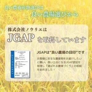 令和7年産 ゆめぴりか 玄米 10kg【農業生産法人ノウリエ】 米 お米 北海道米 特Aランク 国産 コメ 北海道 比布町 ぴっぷ 1017-008