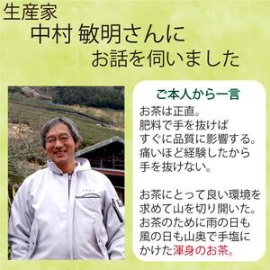 静岡市【静岡茶】 大川大間 100g2袋セット 本山茶□