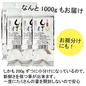 静岡茶 お茶のしずく3号 200g×5パックセット□