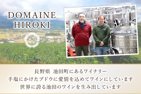 定期便 ロゼワイン メルロー ロゼ 750ml 6回 計 6本 [ヴィニョブル安曇野 長野県 池田町 48110759]