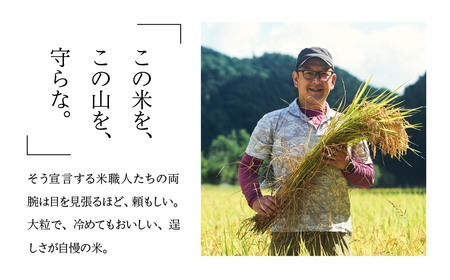令和7年産米【定期便】山仙（いのちの壱）2kg×6回【51-S】