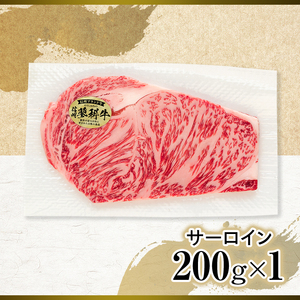 蓼科牛サーロインステーキ200g×1　