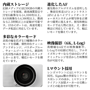 SIGMA BF（シルバー）