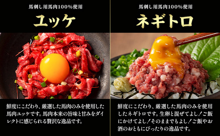 馬肉 熊本特産 フジチクオリジナル ふじ 馬刺し 堪能 セット 道の駅竜北  熊本県 氷川町 肉 馬肉 メン 大トロ 中トロ ヒレ シャトーブリアン ロース ランプ 上赤身 ネギトロ ふじ馬刺し セット 食べ比べ比べ
