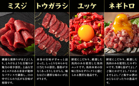 馬肉 フジチクオリジナル 希少部位 と 贅沢な ふじ馬刺し 厳選 セット 道の駅竜北  熊本県 氷川町 肉 馬肉 メン 大トロ 中トロ ヒレ シャトーブリアン ロース ランプ 上赤身 ふじ馬刺し セット 食べ比べ