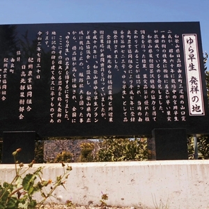 由良早生 みかん 訳あり 5kg / ゆら早生 温州みかん 極早生 甘い 家庭用 和歌山 柑橘 ※2026年10月上旬～10月下旬頃順次発送予定  ※北海道・沖縄・離島への配送不可  【sml003-yura-c5】