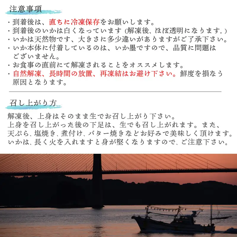 『先行予約』呼子のいか活造り2杯! コリコリ甘い鮮度抜群の透明感! 約250g×2(合計約500g) 刺身 ギフト 冷凍※水揚げあり次第6月以降順次発送させていただきます。