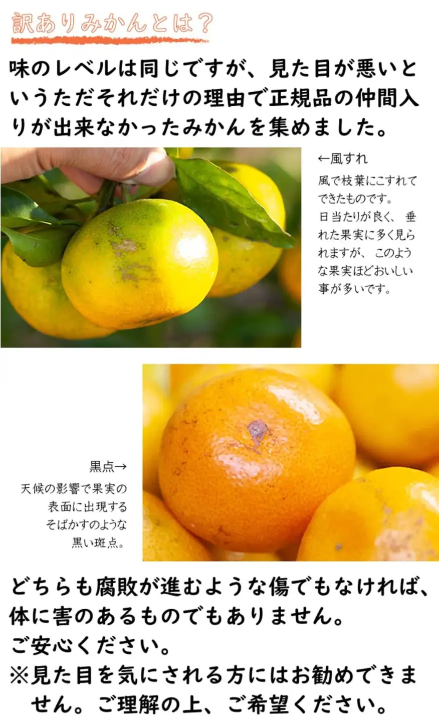 訳あり 極早生みかん 2S・3S混合 6.5kg 和歌山みかん