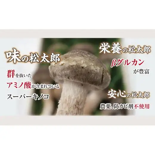松太郎と松太郎ジャーキー詰め合わせ【夏季冷蔵便対応】