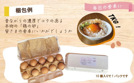 【定期便3回】濃厚でコクのある味わい！のびのび育った土佐ジローの自然卵20個（10個入り×2パック）【合計60個】卵 玉子 たまご 鶏卵 土佐ジロー 自然卵 新鮮 旨味 濃厚 コク おいしい 自慢 こだわり卵 高知 高知県 四万十市 26-1013