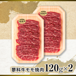 蓼科牛モモ焼肉120g×2　　　