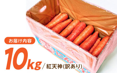 【訳あり】真っ赤な人参「紅天神」10kg AHCU006 人参