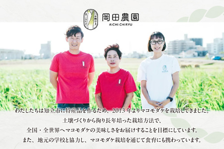 知立市特産　マコモタケ(1kg)　（6～8本）（3396）