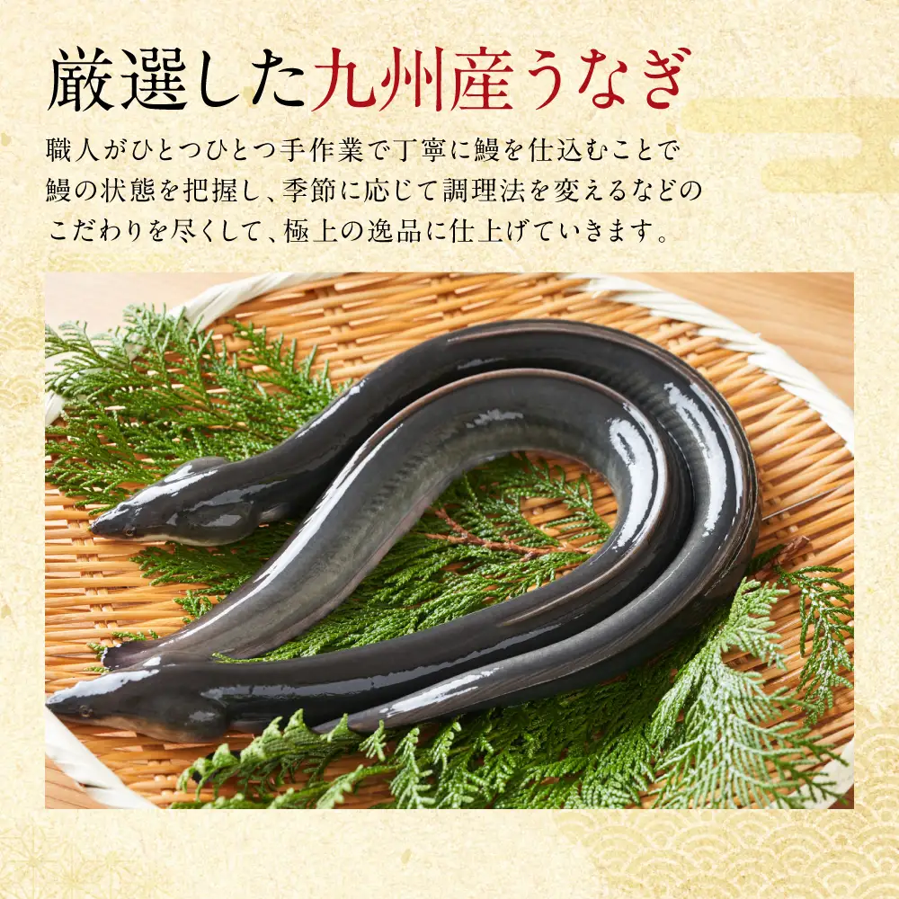 鰻丸(うなまる) 九州産 うなぎ蒲焼き2尾 ＆ 刻み蒲焼き1パックセット 鰻 ウナギ うなぎの蒲焼 丑の日 秘伝タレ 無頭 うな丼 うな重 ひつまぶし