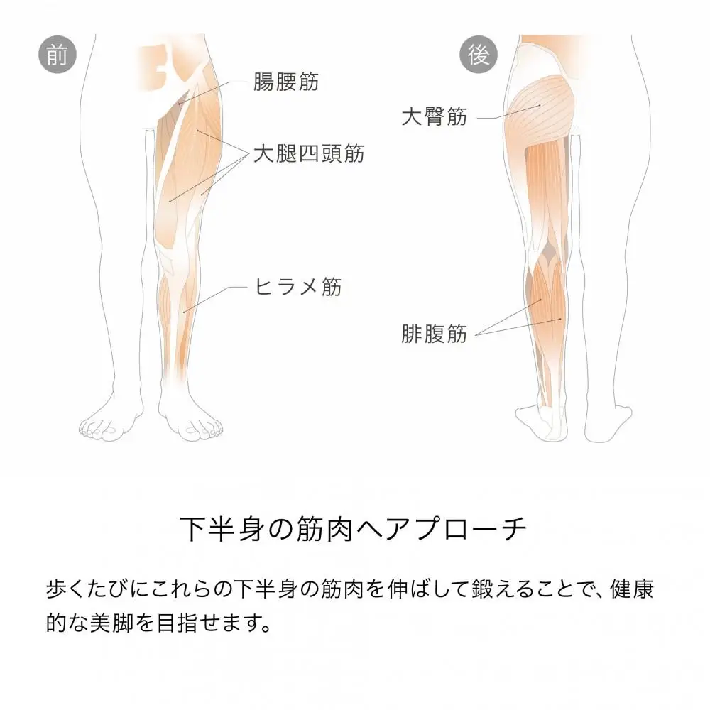 &MEDICAL KAMOLEG 2.0 【アッシュグレー／Sサイズ】