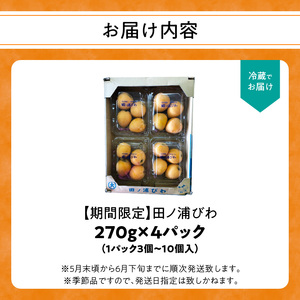 【期間限定】田ノ浦びわ 約1.08kg（270g×4パック） C07014