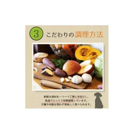 愛犬ごはん【ひとつごはん】とりぽてとオリジナルブレンド500g 無添加 厳選素材 鶏肉 ドッグフード 