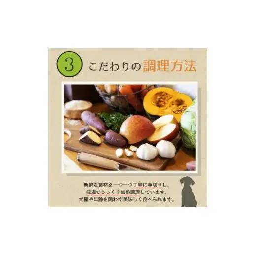 愛犬ごはん【ひとつごはん】うまぽてとオリジナルブレンド500g 無添加 馬肉 厳選素材 ドッグフード 