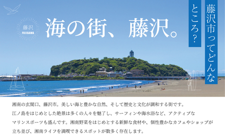 操船体験 2名様分 水陸両用モーターボート「シーレッグス」 体験チケット ｜【 船 体験 観光 】