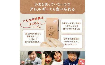 たっぷり入った グルテンフリー 米粉で作った麺「う米めん」100食入り F7X-0208